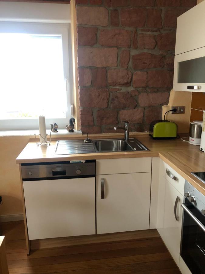Gemuetliches Apartment Garden View ラムシュタイン・ミーゼンバッハ エクステリア 写真