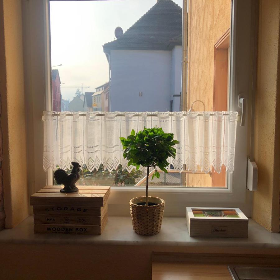 Gemuetliches Apartment Garden View ラムシュタイン・ミーゼンバッハ エクステリア 写真
