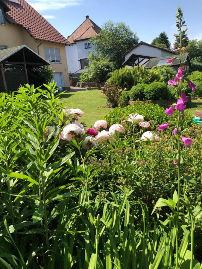 Gemuetliches Apartment Garden View ラムシュタイン・ミーゼンバッハ エクステリア 写真