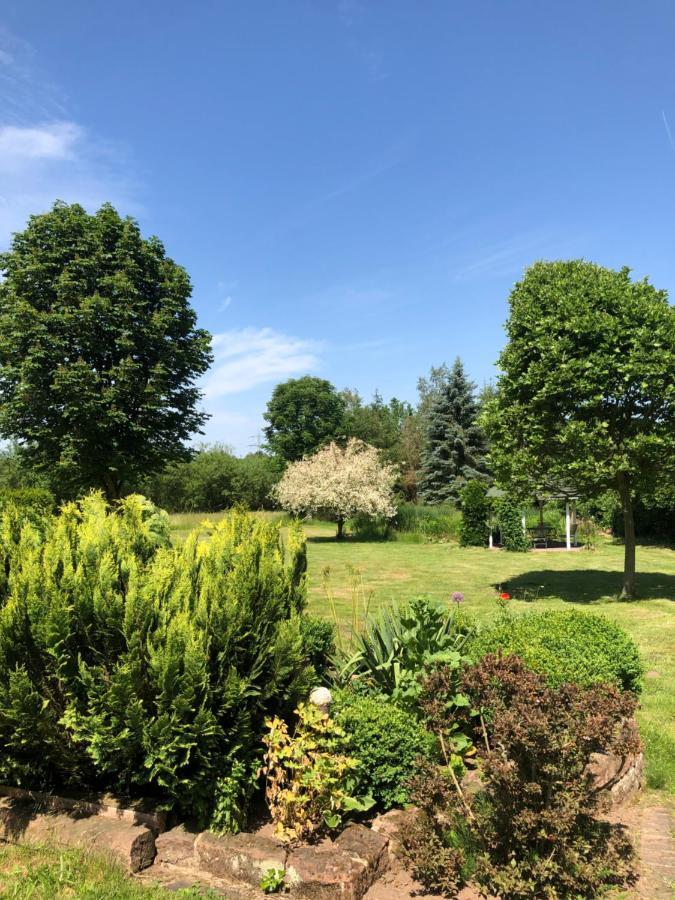 Gemuetliches Apartment Garden View ラムシュタイン・ミーゼンバッハ エクステリア 写真